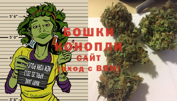 твердый Богданович