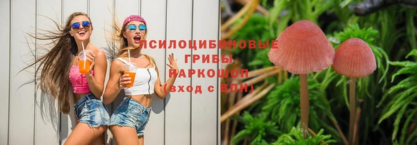 твердый Богданович