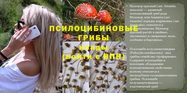 apvp Сосновка