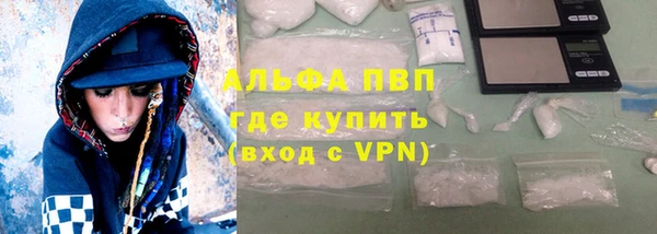 твердый Богданович