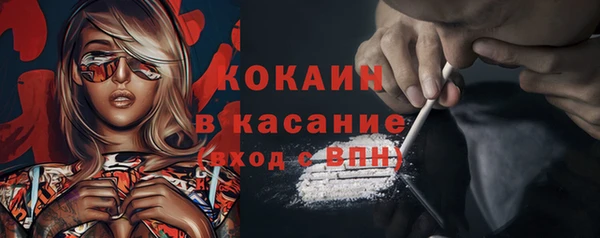 твердый Богданович