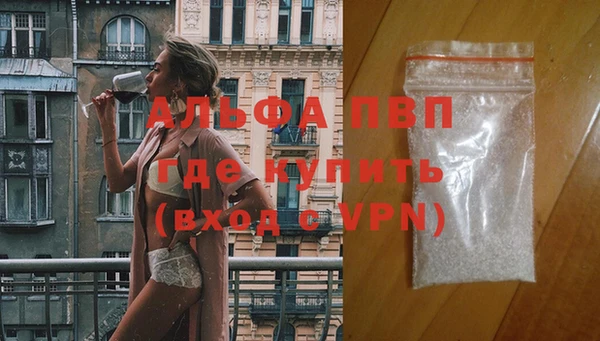 твердый Богданович