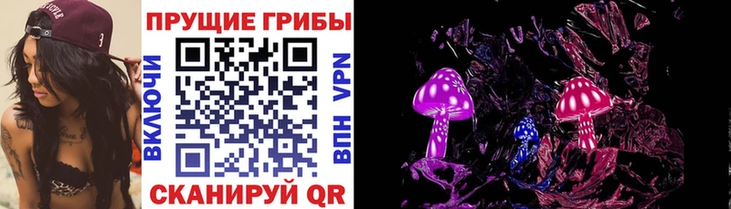 Галлюциногенные грибы MAGIC MUSHROOMS  Киселёвск 